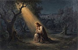 Lijdensweg in de hof: Jezus bidt in het licht