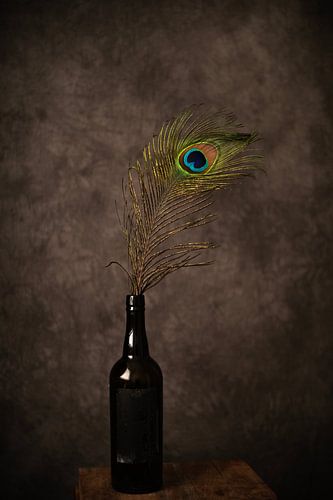 Stilleven pauwenveer in fles