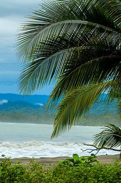 Costa Rica: Cahuita National Park by Maarten Verhees