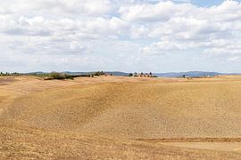 Tuscany at its most beautiful by Diane Bonnes