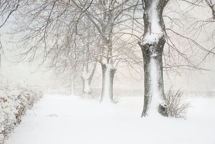 Besneeuwde weide van Heike Hultsch