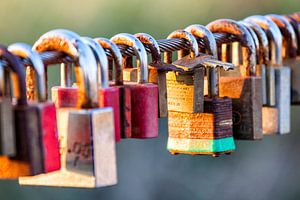 Urban, Lovelock II