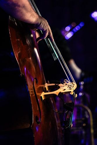 Double bass // String instrument // Music