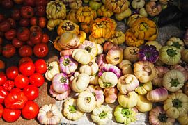 Bittertomaten von Eelkje Colmjon