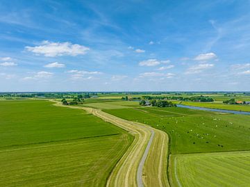 Paysage agricole dans l'IJsseldelta au printemps sur Sjoerd van der Wal Photographie