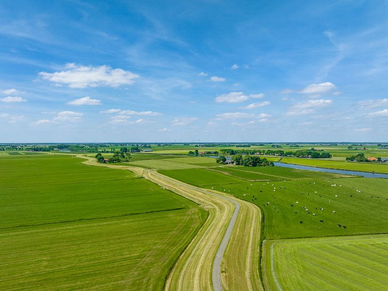 Paysage agricole dans l'IJsseldelta au printemps par Sjoerd van der Wal Photographie