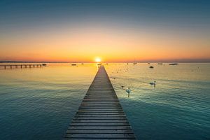 Gardasee, Bootssteg und Schwäne bei Sonnenuntergang. Lazise, Italien