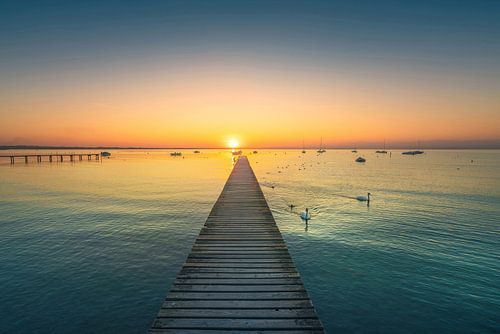 Lake Garda, jetty and swans at sunset. Lazise, Italy