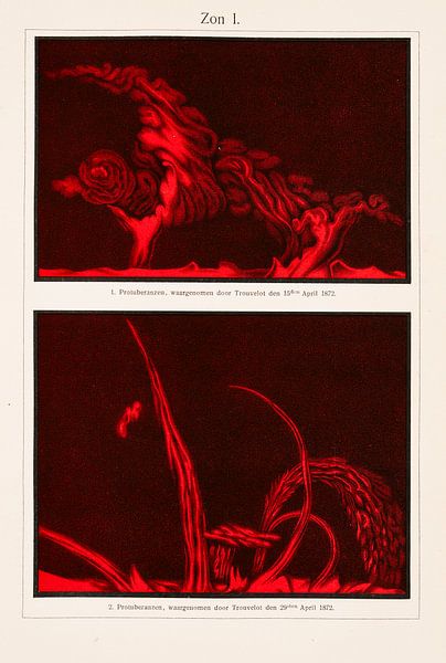 Antique image of solar flares by Studio Wunderkammer