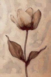 Ephemeral Beauty | Terracotta by Kanzo