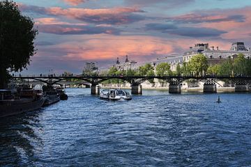 Imposant varen op het Seine in Parijs van Slavenka Arandjelovic