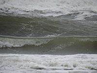 Aan Zee