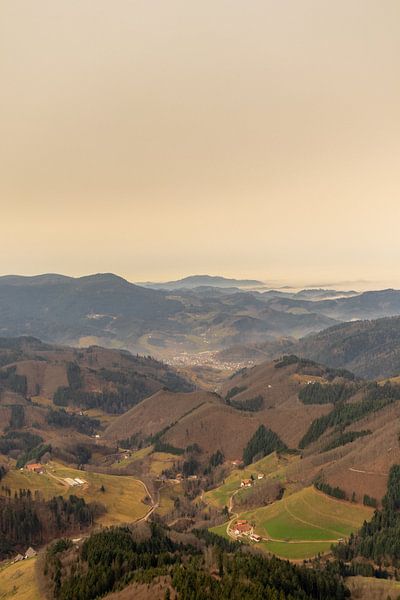 Op verkenning in het mooie Zwarte Woud bij Oppenau van Oliver Hlavaty