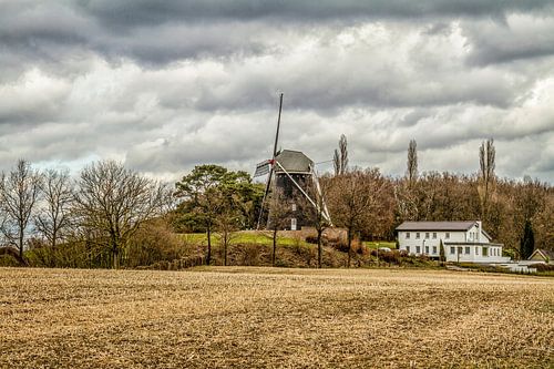 Donkere wolken boven Molen Vrouwenheide