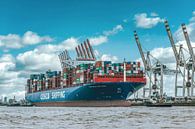 Hamburg - Container ship at the quay by Sabine Wagner thumbnail