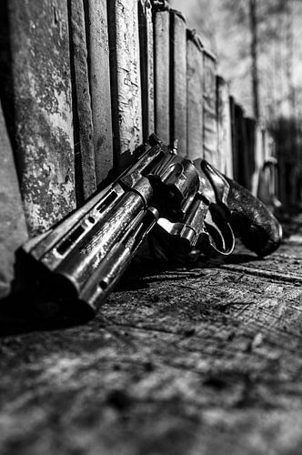 Literatuur: Thrillers