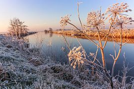 Bereklauw von Marga Vroom