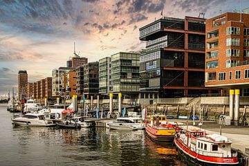 Hamburg harbor city by Dieter Walther