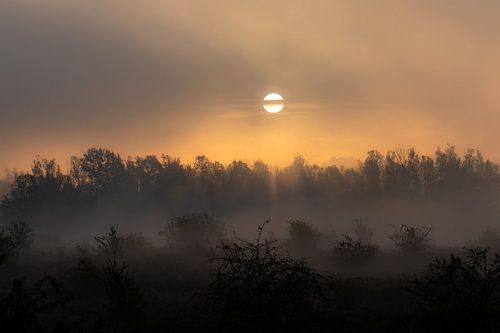 gesluierde zon