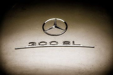 MERCEDES 300 SL GULLWING von David BILIEN