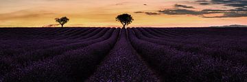 Sfeervolle Provence in Frankrijk met paars lavendelveld. van Voss Fine Art Fotografie