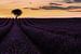 Stimmungsvolle Provence in Frankreich mit lila Lavendelfeld. von Voss Fine Art Fotografie