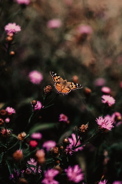 Butterfly with purple flowers by Amber den Oudsten