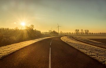 The Long Road van Roy Marcus