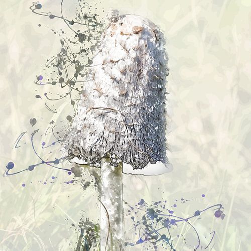 Coprinus comatus