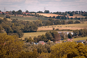 Grillenwald und der Koulen
