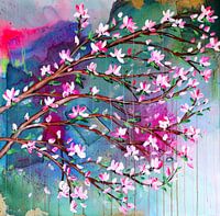 Kirschblüte