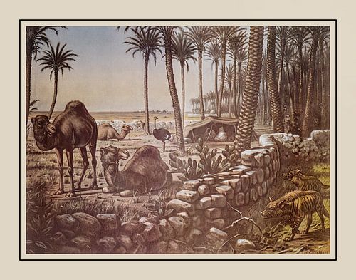 Schoolplate M.A. Koekkoek - "Under the Date Palms"