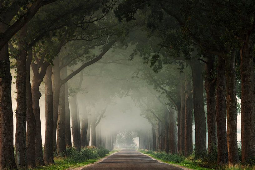 Ceiling of Mist by Martin Podt