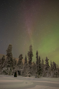Nordlichter im winterlichen Sodankylä