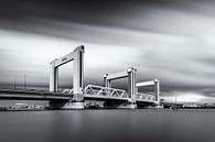 Neue Botlek-Brücke Rotterdam von Niels Dam Miniaturansicht
