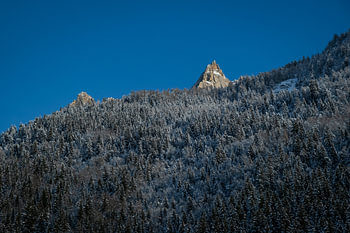 Snow-covered Pine Forest and Sharp Mountain Peak