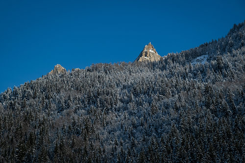 Sneeuwbedekt Dennenbos en Scherpe Bergtop