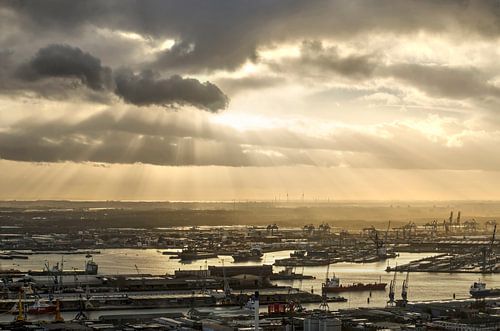 Heaven and the Harbour