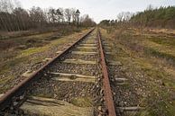 Oude spoorlijn Borkense Baan nabij de Duitse grens in de gemeente Winterswijk van Tonko Oosterink thumbnail