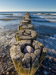 épis en bois érodés par les intempéries dans l'eau de la mer Baltique