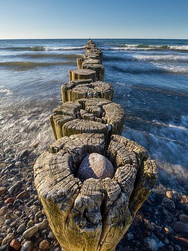 épis en bois érodés par les intempéries dans l'eau de la mer Baltique
