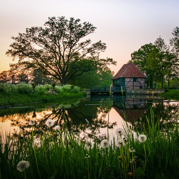 Moulin à eau Oeler par P Hogeveen