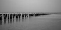 Strand Domburg mit Wellenbrechern in Schwarzweiss - 2 von Tux Photography Miniaturansicht