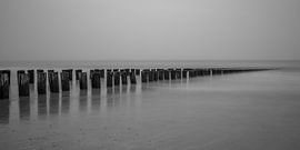 Plage de Domburg avec brise-lames en noir et blanc - 2 sur Tux Photography
