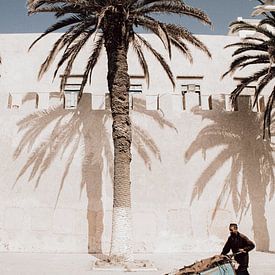 Palm trees against the city wall in Essaouira Morocco by Ingrid Koedood Fotografie