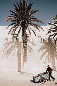 Palmbomen tegen de stadsmuur in Essaouira Marokko van Ingrid Koedood Fotografie