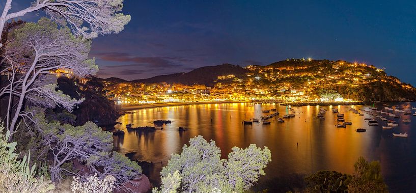View of the night lights, Llafranc, by Rene van der Meer