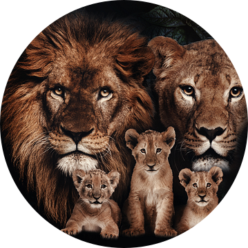 leeuwen gezin met 3 welpen