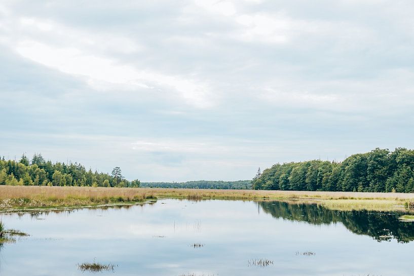 Reflection in the Drentse ven | Grolloërveen by Wandeldingen