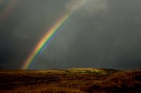Donegal